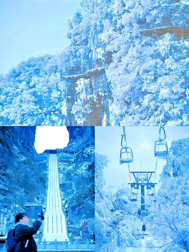 春節想看這樣的張家界，聽我10句勸!