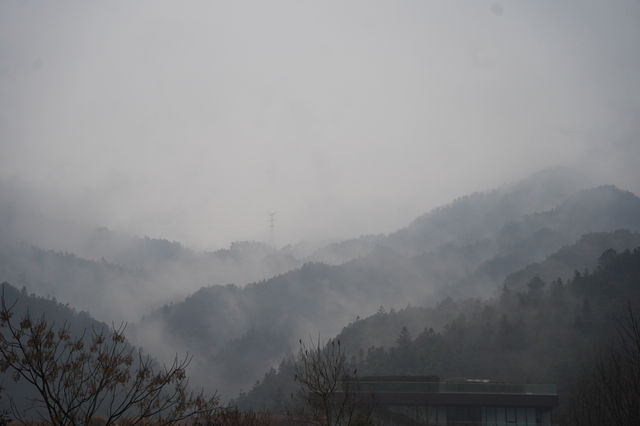 景德鎮酒店｜赴梅花之約，住進可以入眠的美術館