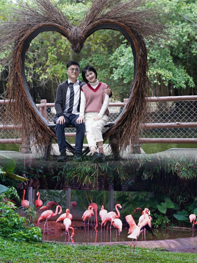 深圳遛娃｜褒貶不一定野生動物園值得去嗎？