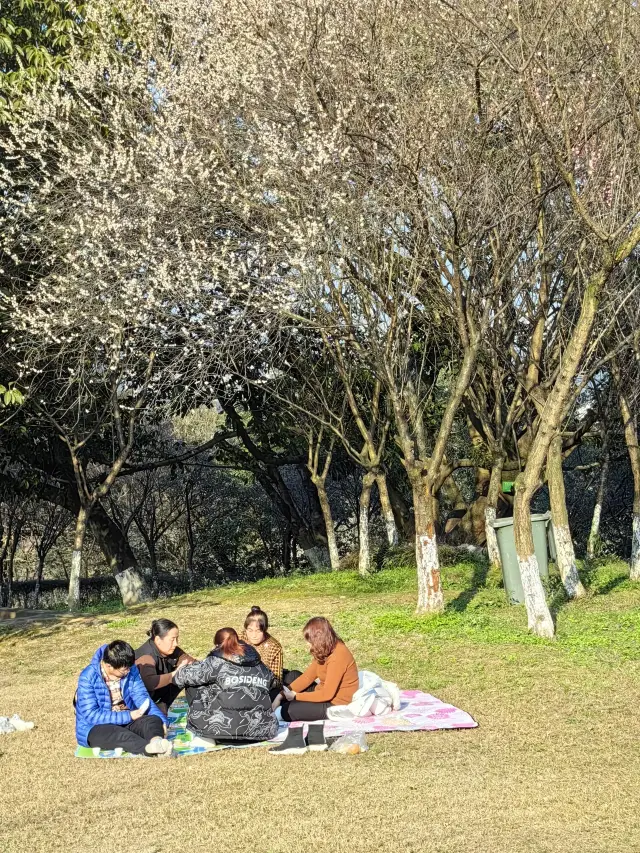 遛娃｜“宇宙中心”的大草坪，重慶照母山公園看一看