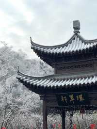 大家都去紫金山而我們來了幕府山