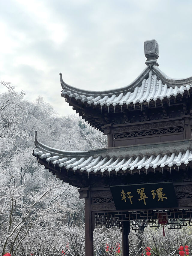 大家都去紫金山而我們來了幕府山