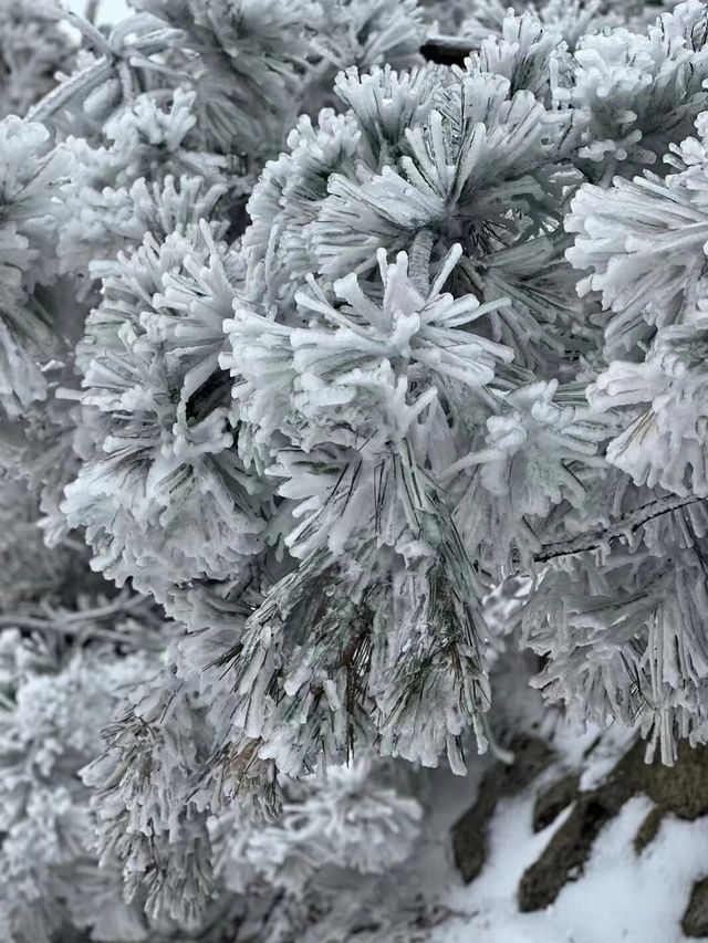 郴州之行，與霧凇雪景共度冬日仙境之旅