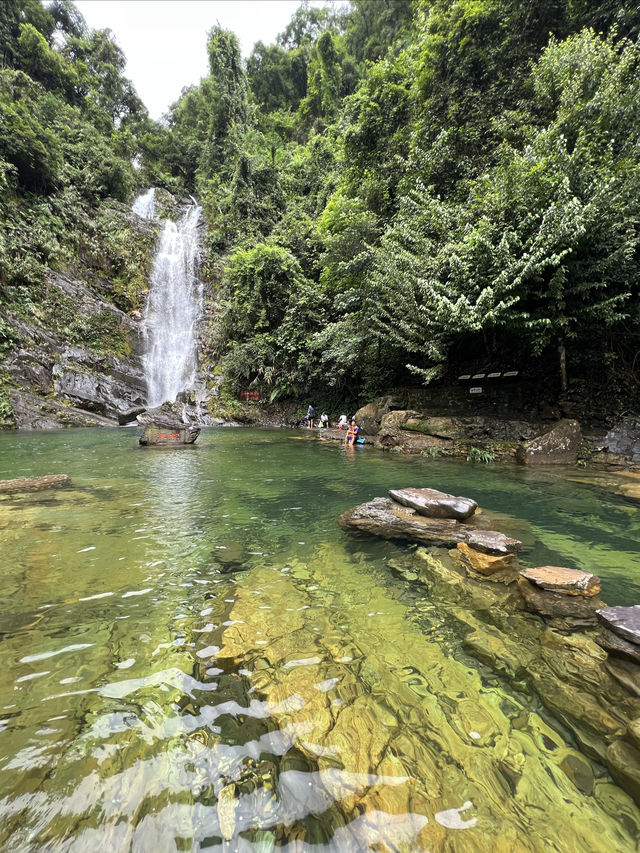 北回歸線沙漠帶上的綠色明珠