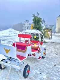 雲山冰雪樂園之帝企鵝日記