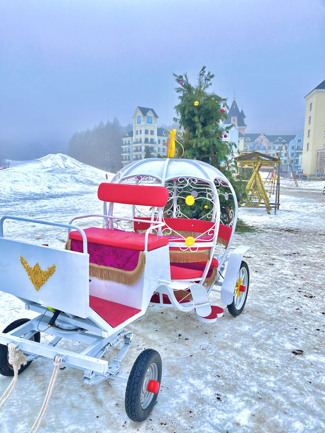 雲山冰雪樂園之帝企鵝日記