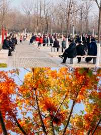 成都遛娃好地方|紅石公園遊樂區