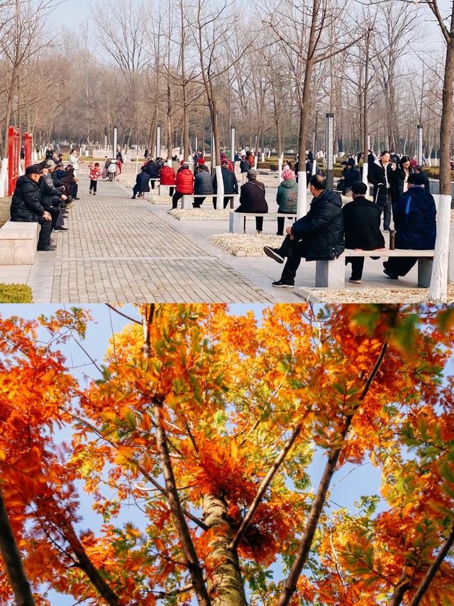 成都遛娃好地方|紅石公園遊樂區