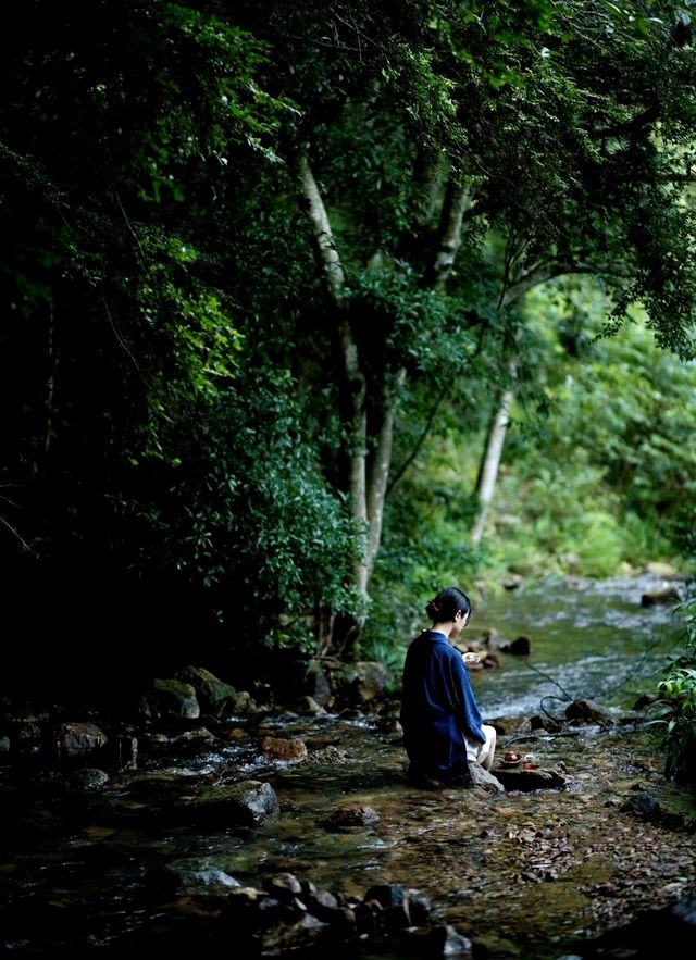 遠眺，武夷山的景色無遠弗屆