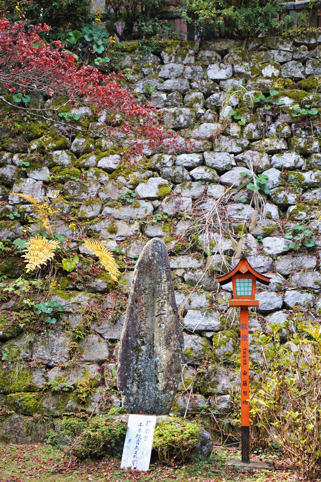 愛媛尋秋色，山間徒步一日