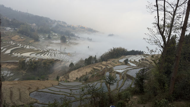 元陽梯田～～麻栗寨觀景台