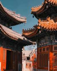 北京藝術博物館|觀古建賞玉蘭，太美了