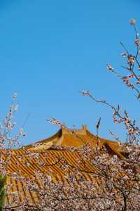 清明上河園，古色古香，再現宋代風情