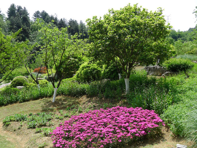 森林休閒勝地——貴陽登高雲山森林公園