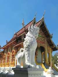 泰國·清邁·藍廟