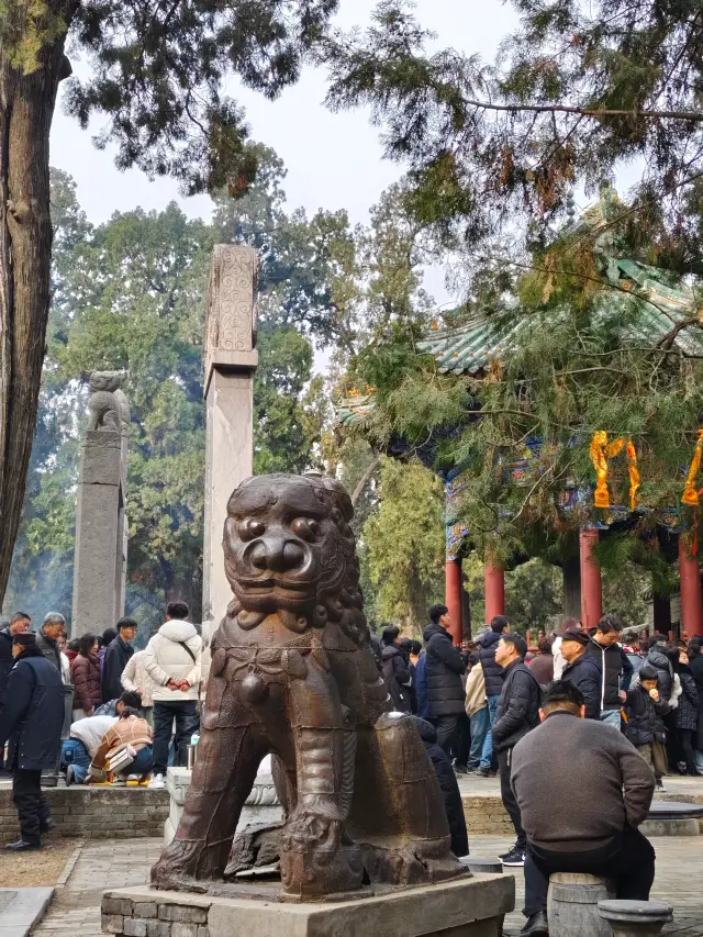 When you get to Luoyang, you must visit Guanlin!