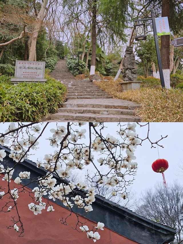南京｜清涼山中清涼寺|||清涼寺位於南京市鼓樓區，始建於南朝