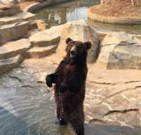 江蘇徐州九頂山野生動物園去親近大自然