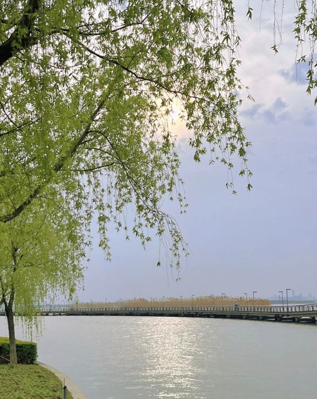 陽澄湖 一日遊