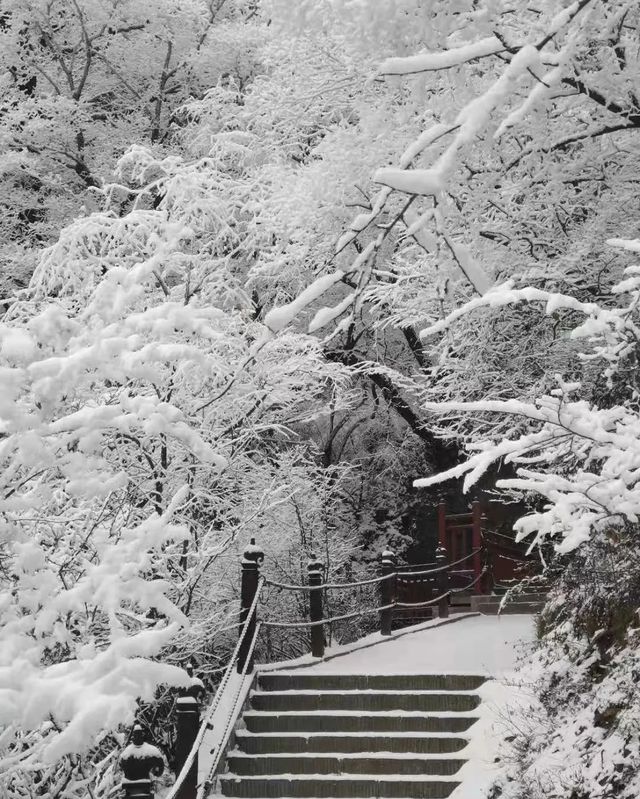 有些風景，在崆峒山只有冬天才能看到