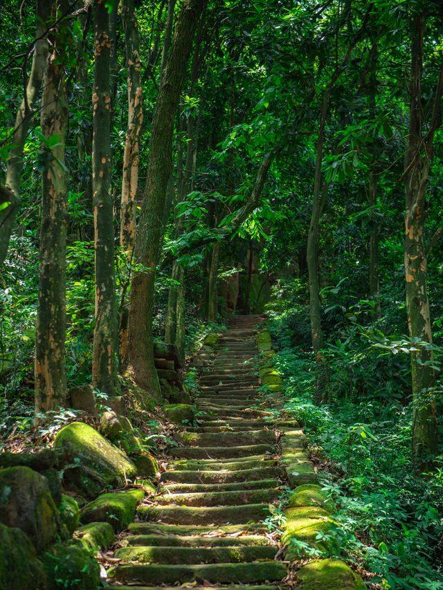 好喜歡成都這樣舒服的徒步，登山訪唐代古蹟