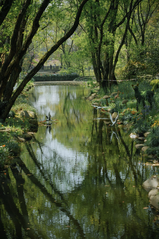 上海共青森林公園已經美到Next Level了