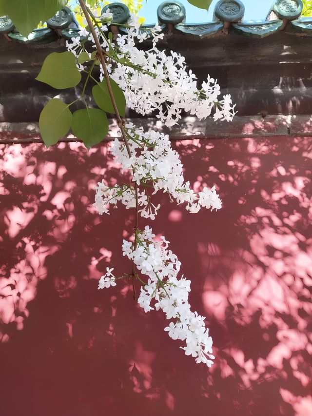 天壇齋宮