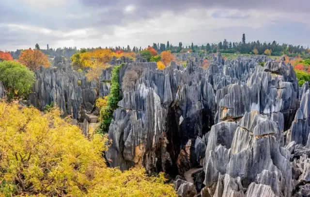 Why do people who travel to Yunnan all like to visit the Stone Forest?