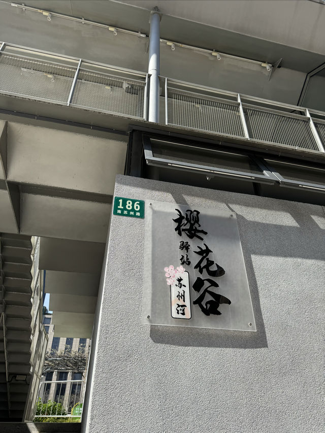 魔都賞花：蘇州河櫻花谷