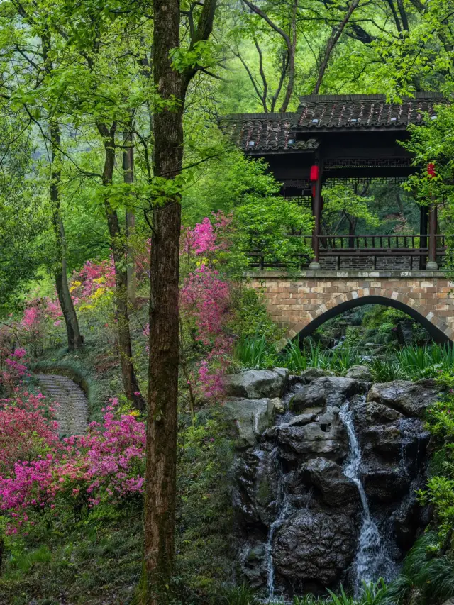 Compared to Wuyuan, I love this less-known forest hideaway in southern Anhui even more