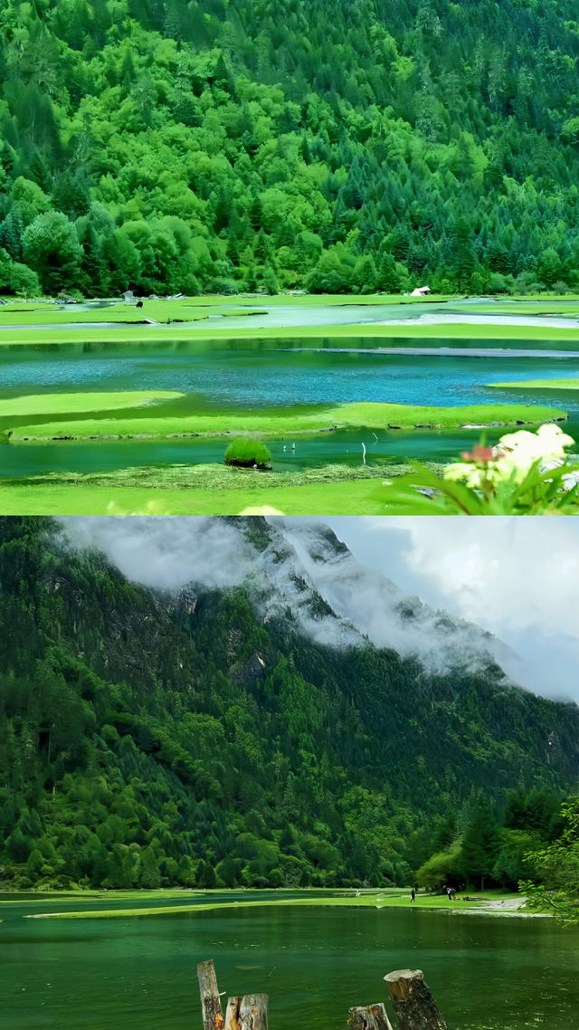 寶藍色的湖水，成群的牛羊，安靜的溪流，月亮湖你確定不來嗎？