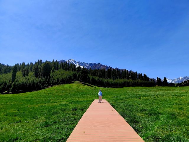 鹿角灣風景區