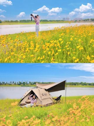 우한에서! ! 쿤밍이 아니야! "이야기의 작은 노란 꽃"은 산과 들 어디에나 있습니다.