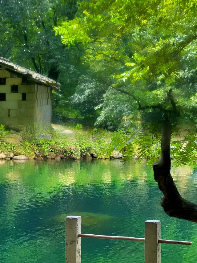 這個美的冒煙的古村落叫白石嶺！