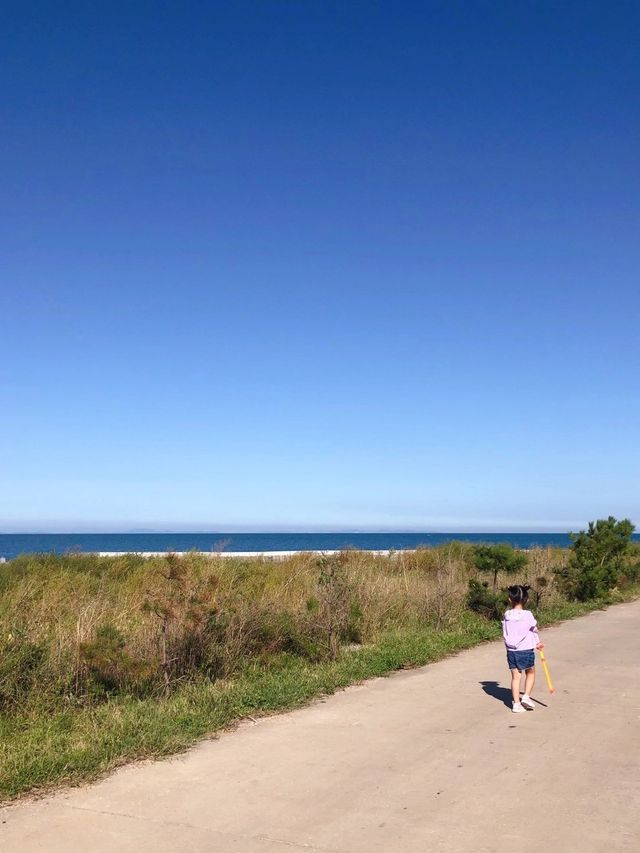龍口 南山大佛 桑島