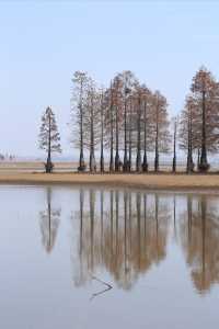 全國每日一地 安徽來安縣