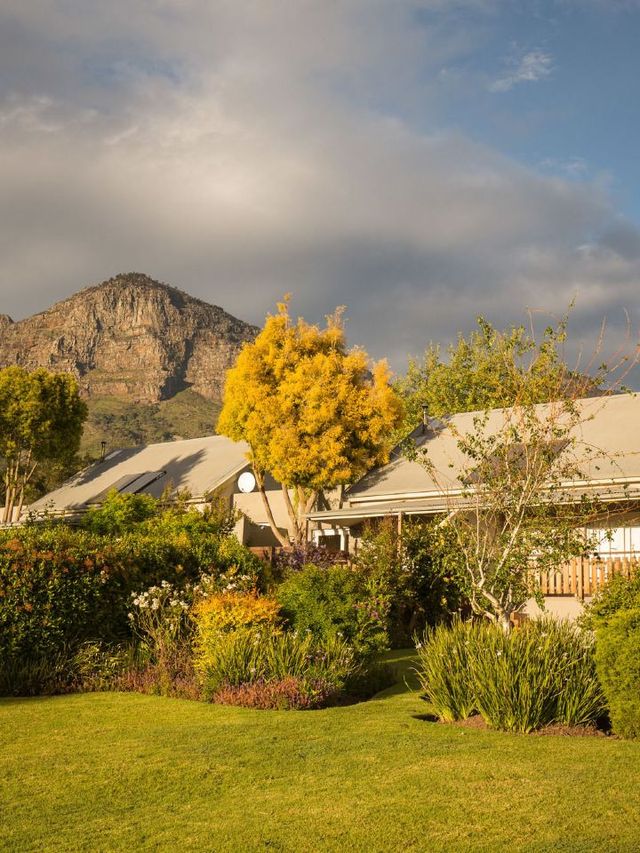 🍇✨ Cape Winelands' Hidden Gems: Boutique Stays! ✨🍷
