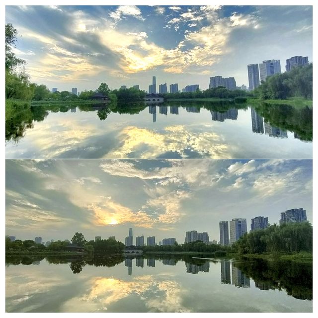 位於市中心城區（二環線內）的“世外桃源”——沙湖公園，賞荷賞景的天花板