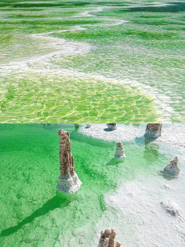 青海旅遊攻略，你必須知道的秘密！