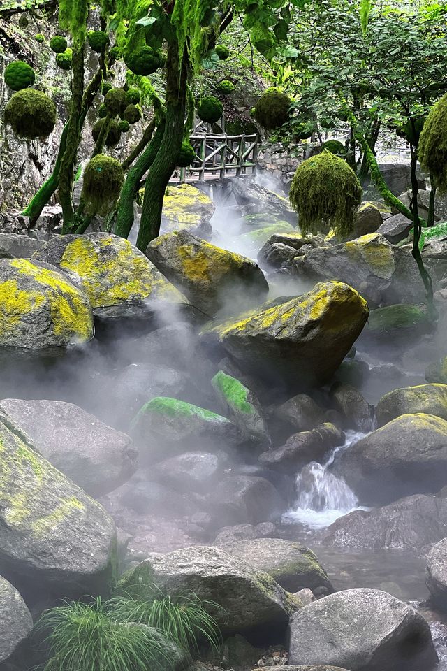 愛麗絲仙境|魯山神牛大峽谷