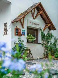 實話雖難聽，但這就是6 7月景德鎮現狀，看完