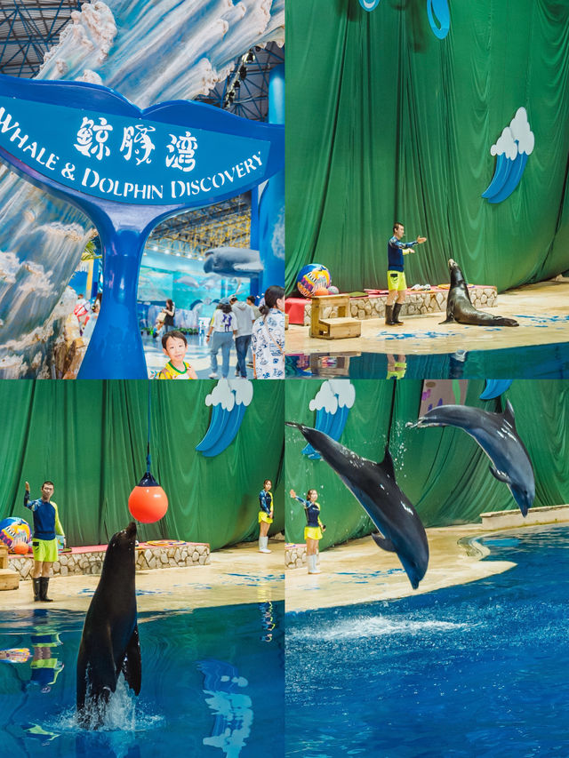 暑假遛娃｜北京海洋館旅行攻略