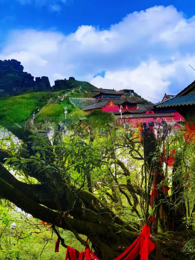 Fanjing Mountain: Exploring Guizhou's Buddhist Sanctuary and Natural Wonder