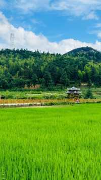 探索邵陽：避暑天堂，文化瑰寶