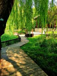 北坞公園