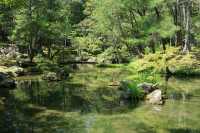 西芳寺（苔寺）｜京都的夏 美哭了