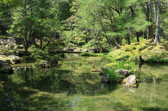 西芳寺（苔寺）｜京都的夏 美哭了