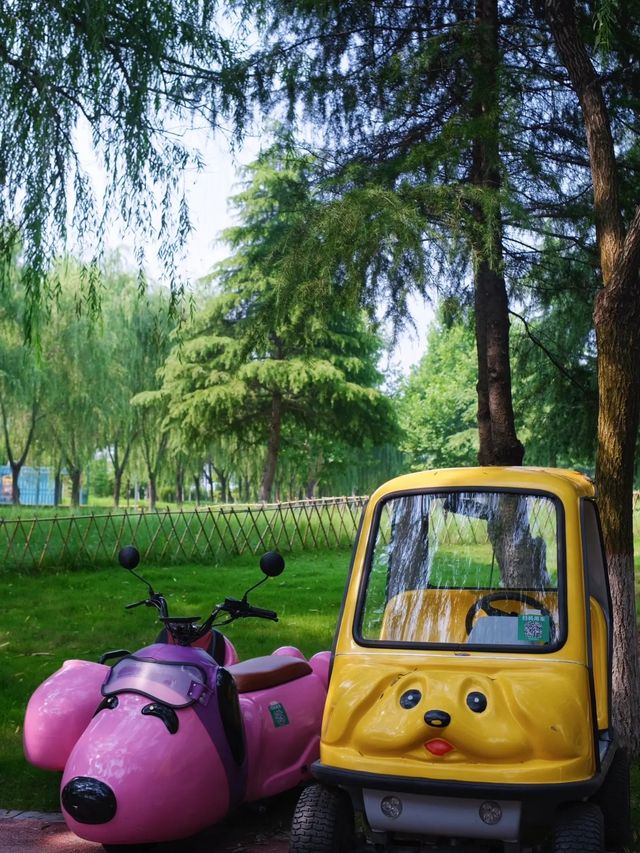 鄭州這個新開放的濕地公園簡直贏麻了。
