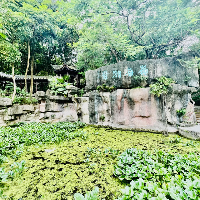 深圳匯芳園😍深圳園林代表作
