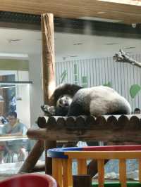 西安秦嶺野生動物園。